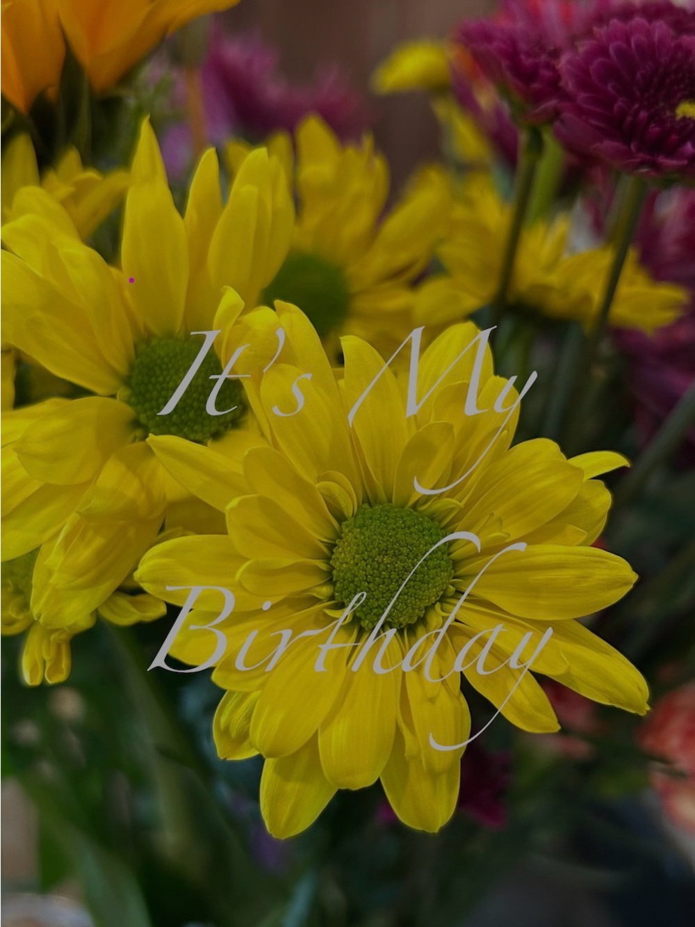 Yellow Daisy It’s My Birthday
